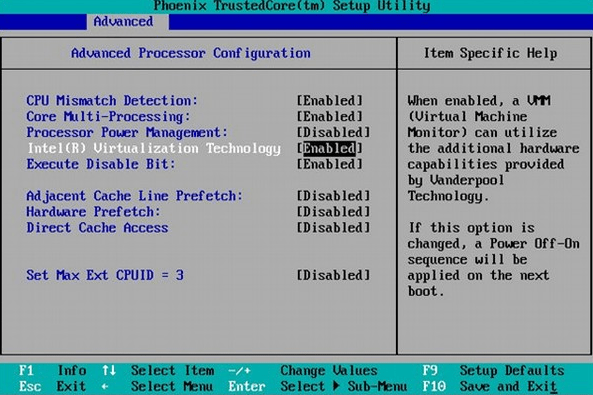 BIOS interface for Virtualization